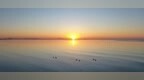 日照这幅“海上春耕图”，太治愈了
