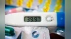 长期不感冒的人　不仅免疫力差还更容易患癌？