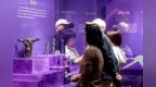 上百件科威特王室典藏重器亮相　甘博这个展你打卡了吗