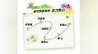 一起森呼吸，奔赴没有“天花板”的地方