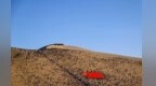 鸣沙山五一专场浪漫开唱：沙海星夜　歌声入怀