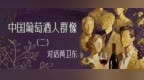 中国葡萄酒人群像②丨“破壁者”黄卫东：国产葡萄酒怎样才能“上桌”？