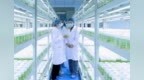 【甘快看】甘肃：科技创新　给发展装上最强“大脑”