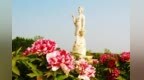 沿着黄河看中国丨聊城：九曲黄河奔涌不息 乡村振兴步履不停