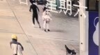 女子被人从背后加速撞倒，警方通报