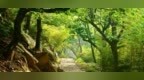 泰安这条小众路线上出了个奇幻打卡点，一起沉浸式走入绿野仙踪