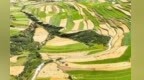 【甘快看】一粒青稞的链式跃迁　甘南州推动青稞全产业链升级提质