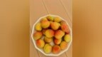 随笔 | 来长清，赴一场青杏之约