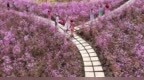 北山植物园迭代升级，擦亮鹤岗生态宜居名片