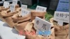 “把子肉咖啡”亮相！这场嘉年华让泉城飘香