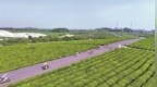 赣江新区：乐享自然（图）