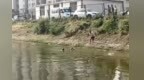 亳州退休教师在河里救起小学生，当事人：救人是应该做的