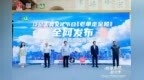 单霁翔：一双布鞋，走金陵！
