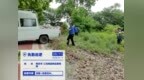 南京市建邺区江心洲街道：防除加拿大一枝黄花 筑牢生态安全屏障