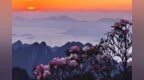 中国旅游日将至，沪苏浙皖一大波宝藏景点集体宠粉