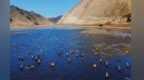 游客赞叹“名不虚传”　夏河铺锦叠翠绘就生态新画卷