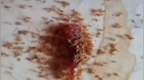 小孩吃的手撕肉干掉地上，蚂蚁吃完全死了