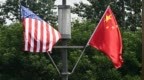 对话郑永年：中美合作不仅是美好的愿望，更是现实的需要