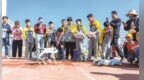 竞技锤炼本领　科创逐梦校园
