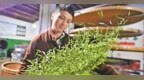 赣鄱山水育佳茗（图）