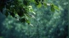 注意啦！雨雨雨雨雨……