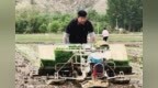 重度盐碱地如今稻香蟹肥　西北新农人get好“丰”景