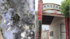 “湖北癌症村”因污染引起？官方回应