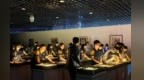 【甘快看】国际博物馆日　香港学子探秘敦煌沙画艺术