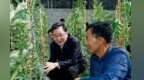 胡昌升：数字赋能　建设现代化人民城市