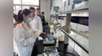 把好食材入校“第一关”——溧水区开展学校食堂供应商快检实训活动