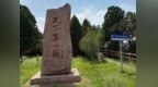 漫游枣庄，尽揽一城风华