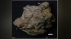 全国首例！从石峁遗址四千年前“狗便便”发现石峁社会分化的秘密