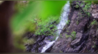 邹平：雨后鹤伴山 溪水潺潺 风景如画