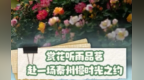长图丨赏花听雨品茗　赴一场天水慢时光之约