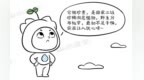 山水趣科普丨悬崖上的精灵：秦岭石蝴蝶人工繁育拯救记