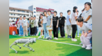 机器狗“闯入”金溪校园！学生围着互动，科技梦想被点燃