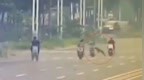 女子骑行被狗撞倒身亡，狗主人从不拴绳，事后将狗打死