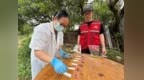 宁波首单！余姚杨梅有了 “安全盾”
