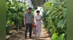廊坊市固安县：农旅融合促增收