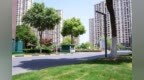 植绿添景！苏州相城太平街道这个小区巧增13处新绿