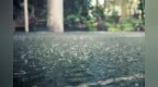 今年暴雨为何来得又早又猛？专家解读→