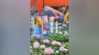 菏泽牡丹、曹县汉服……山东展区解码地方特色产业差异化突围之路