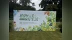 南京中山植物园：香樟树下，邂逅植物的“硬核”浪漫