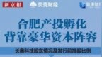 数读丨日赚3.6亿、148天过会的长鑫科技：合肥产投之外，还有这些大赢家
