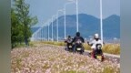 初夏限定浪漫！奉化海边藏有“秘密花园”，位置就在→