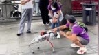 这一次与台湾同胞相遇，他们给出了明确的答案