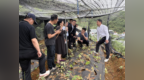 宁波市医药行业协会赴雷波县开展中药材 产业发展专题调研