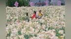 江西万载：青年党员直播助农