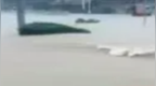 借汛造谣，既蠢又坏