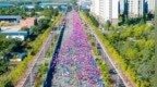 “黑马”将于6月20日鸣枪开赛